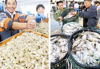 渤海休漁結束，開海喜迎豐收