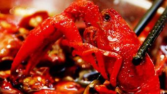 水產養殖溯源系統 讓消費者放心的農產品保障