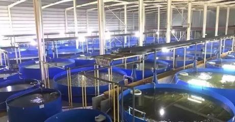 德清漁業(yè)養(yǎng)殖尾水治理成果顯著，再獲國(guó)家級(jí)專家關(guān)注