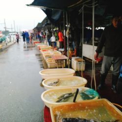 無(wú)錫小溪橋水產(chǎn)批發(fā)市場(chǎng) 地址、電話、營(yíng)業(yè)時(shí)間與美食探尋指南